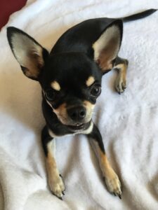 Godric v 5 měsících