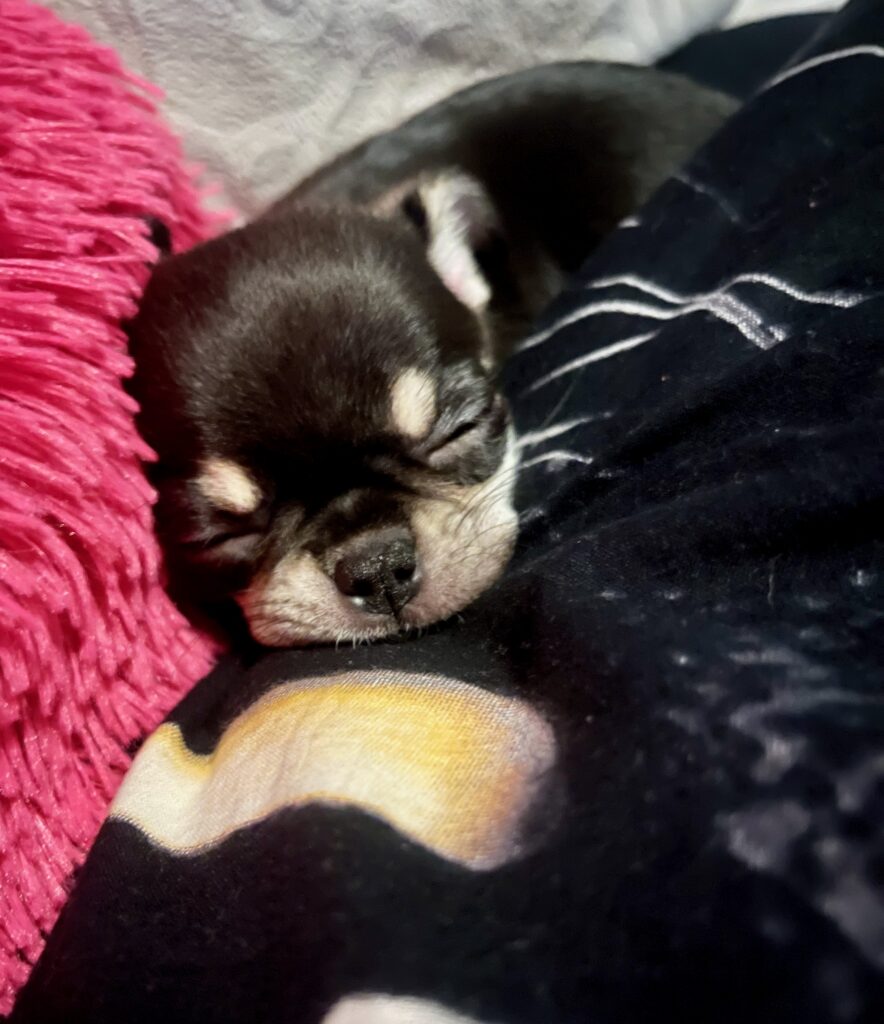 Nuebby po pár dnech u nás